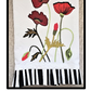 Poppin' Poppies Collection